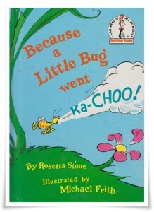 Stone_Because a Little Bug went Ka-Choo