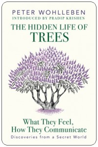 Book cover: The Hidden Life of Trees by Peter Wohlleben